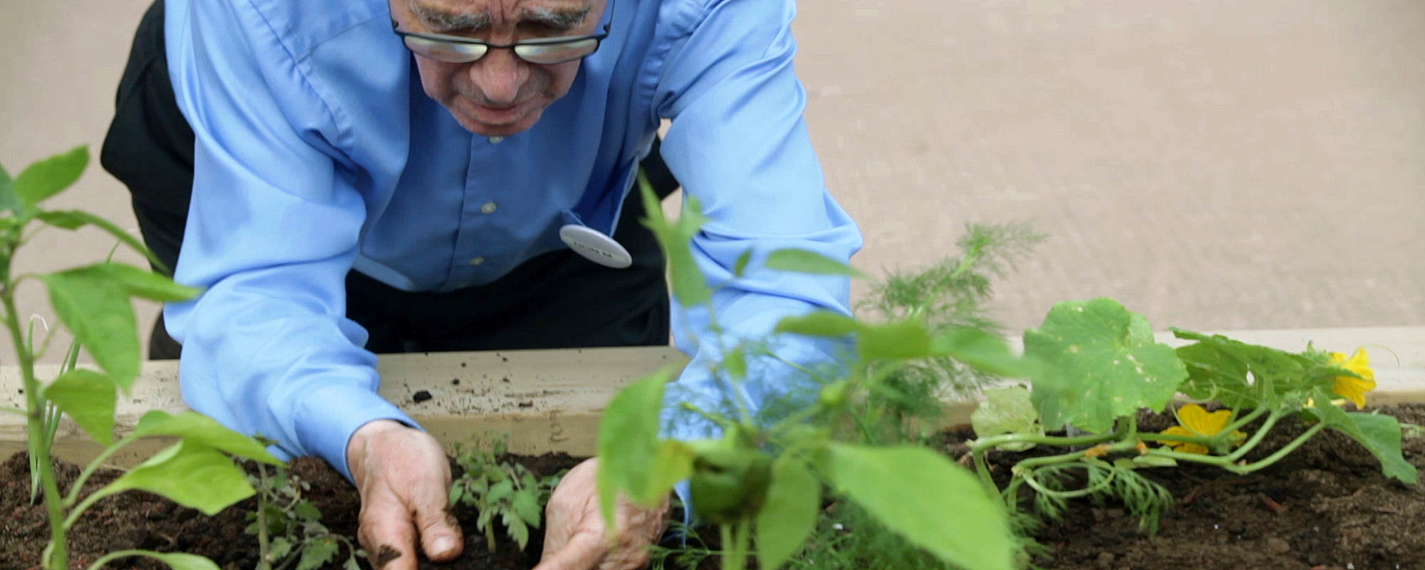 McCormick Home Foundation. A man planting seedlings. A photo.